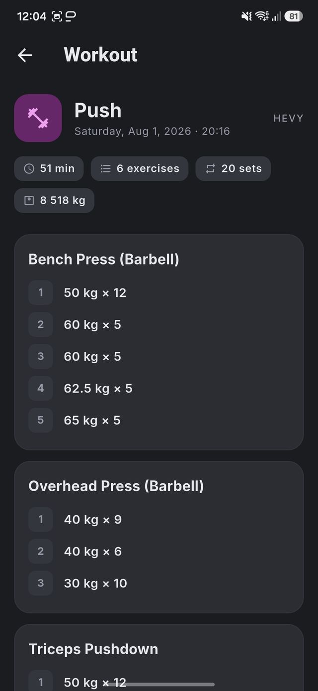 Hirdfit workout detail showing every set of a push session with weights and reps